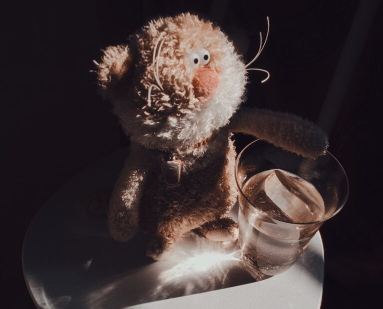 Muzeum Misiów Zakopane – godziny otwarcia i ceny biletów