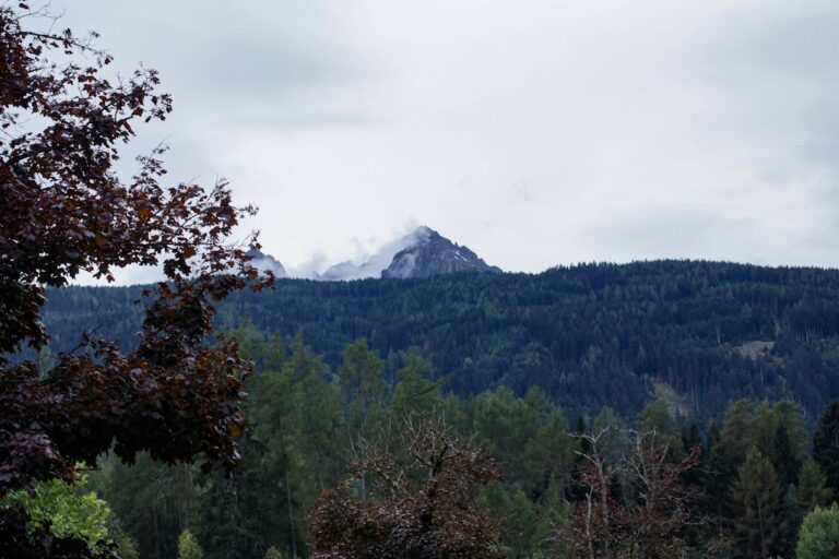 Najlepsze szlaki na rodzinne wycieczki w Tatrach z dziećmi