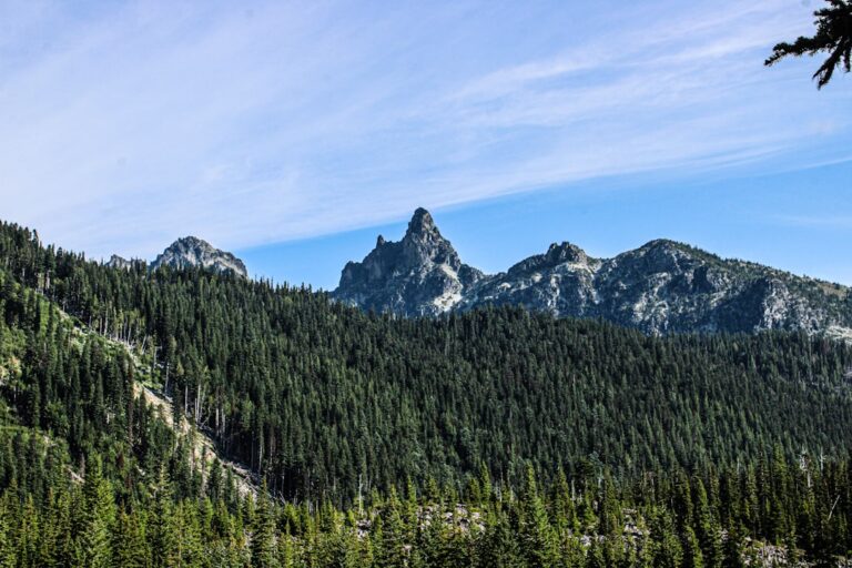 Park Linowy Adventure Gubałówka – ceny biletów i atrakcje