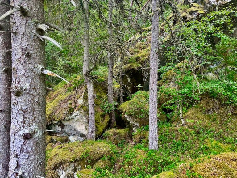 Spacer Doliną Białego w Zakopanem – krótka i urokliwa trasa