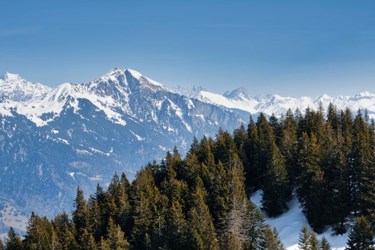 Zimowe skitury w Dolinie Chochołowskiej – trasy dla początkujących