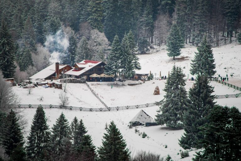 Atrakcje zimowe w Bukowinie – kuligi i termy Bukovina