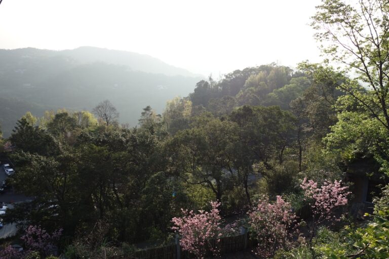 Dolina Chochołowska na wiosenny spacer z dziećmi