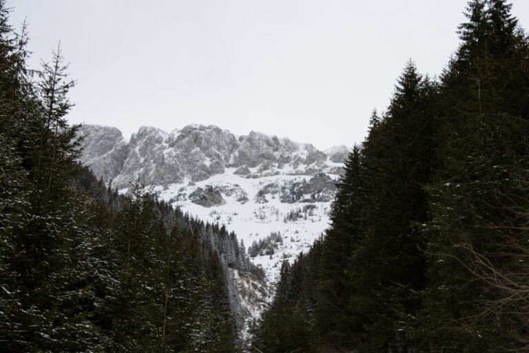 Kościelisko zimą – spacer Doliną Kościeliską i kulig na Butorowym Wierchu