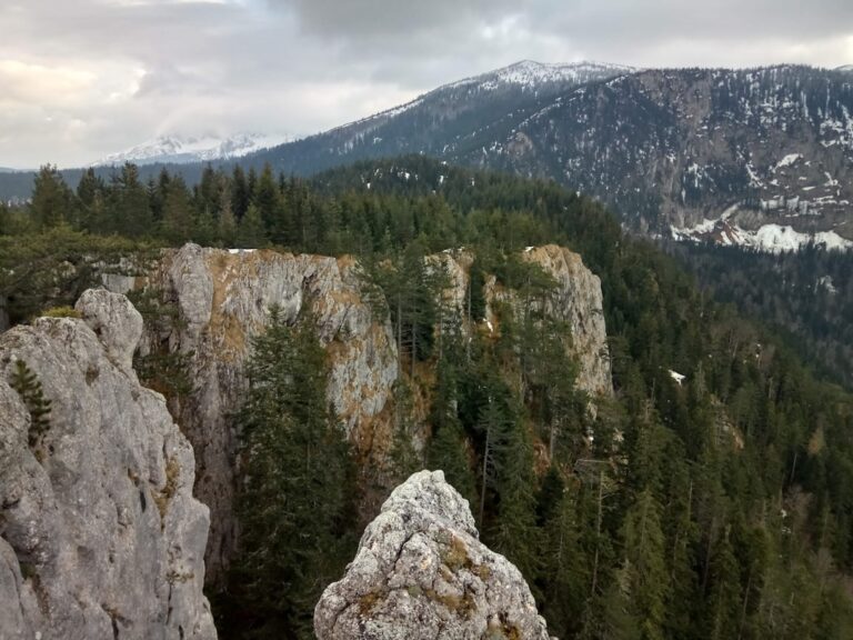 Szlak z Kościeliska na Gubałówkę i Butorowy Wierch – letnia wycieczka widokowa