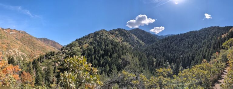 Szlaki na Gubałówce – alternatywa dla kolejki linowej