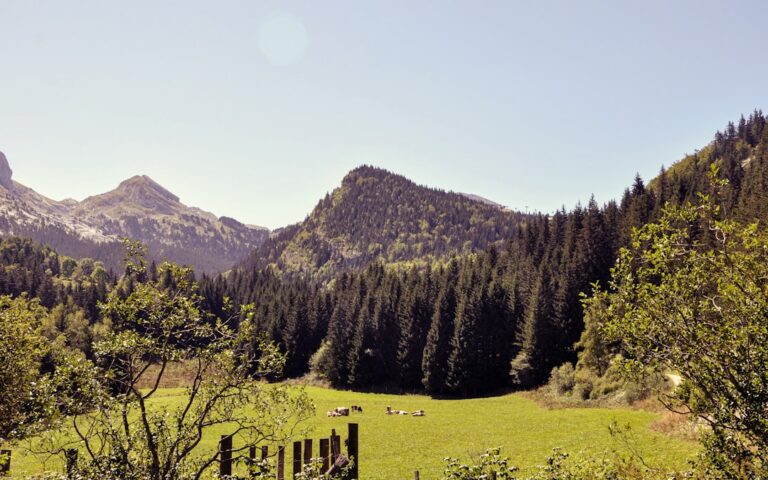 Wycieczka na Rusinową Polanę – piękne widoki na Tatry